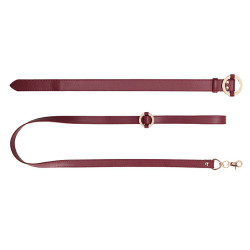Ouch! Halo Collier-Laisse Halo Col Rouge